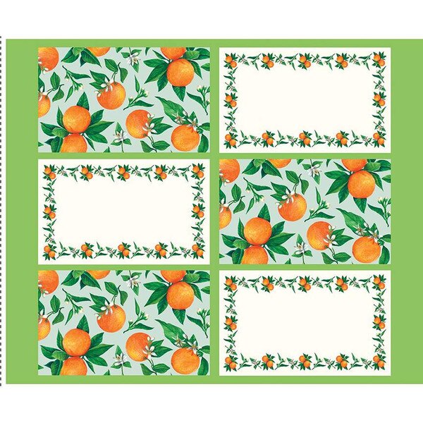 Monthly Placemats 2 June Placemat Panel Riley Blake Designs